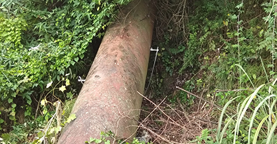 遂宁市蓬溪涪引工程提灌区